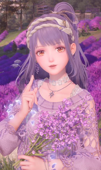Lavender Fields image