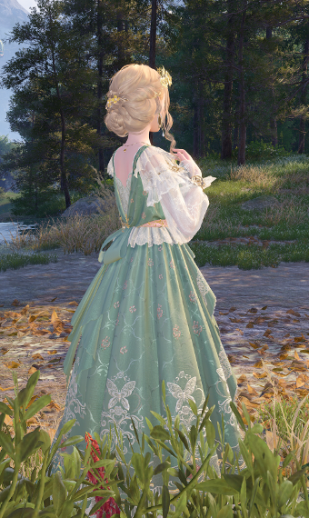 Dreamer image