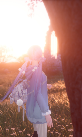 sleepy wanderer image