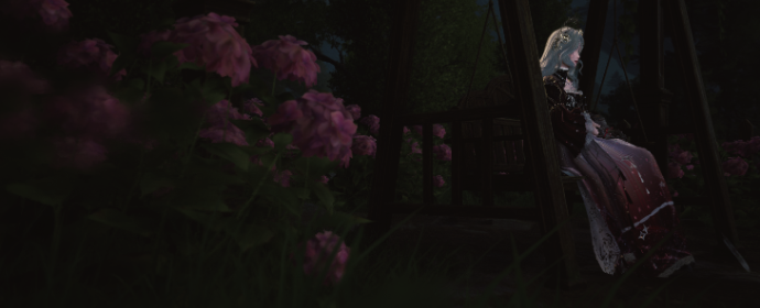 Third image