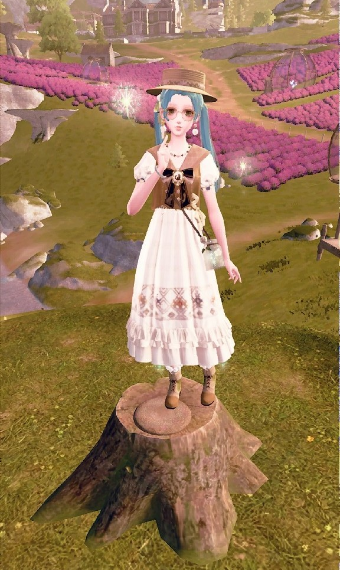 Traveler image