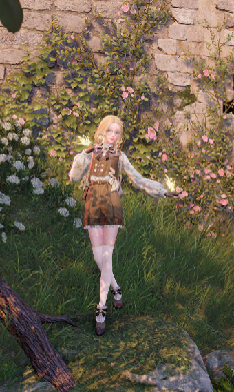 Explorer image