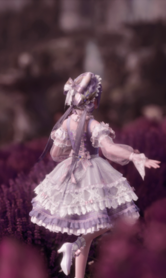 Lavender Field image