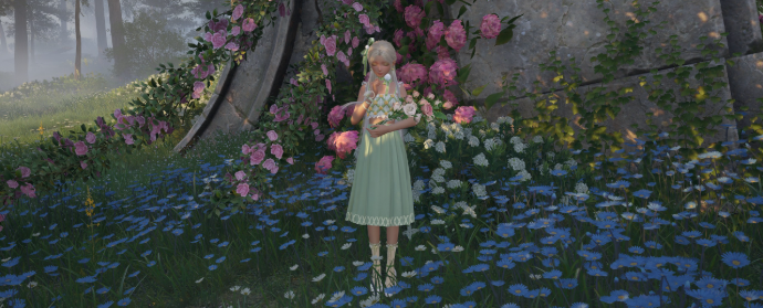 Third image