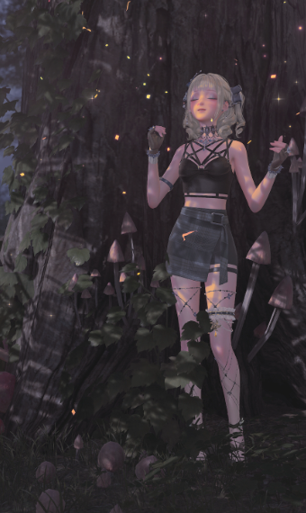 Walk in the forest image