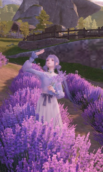 Lavender Stoneville image