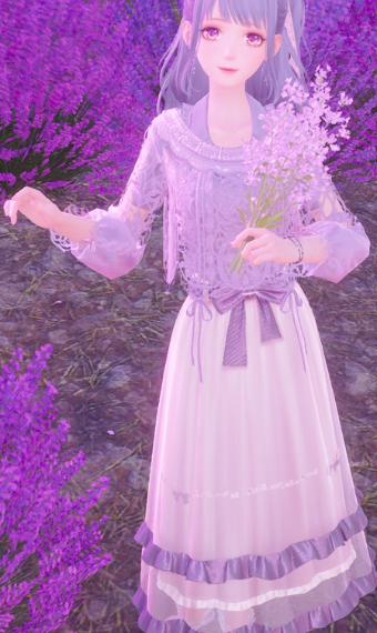 Lavender Fields image