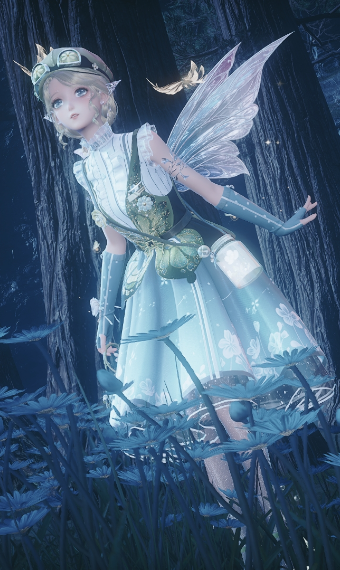 Fairy explorer image