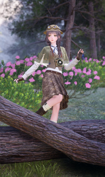 Wandering Explorer image