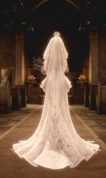 Here comes the bride image