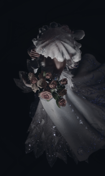 Faded Rose image
