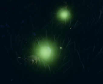 First image