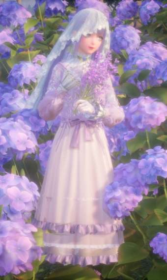 Blooming Lavender image
