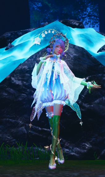 Follower of Wishes image