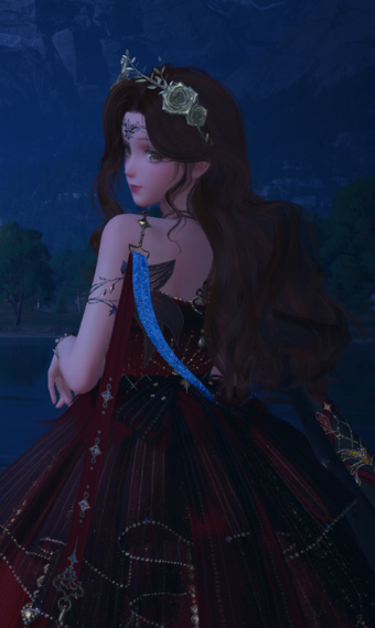 fancy dress image