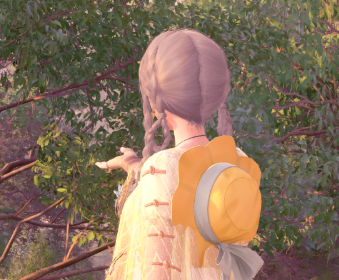 Second image
