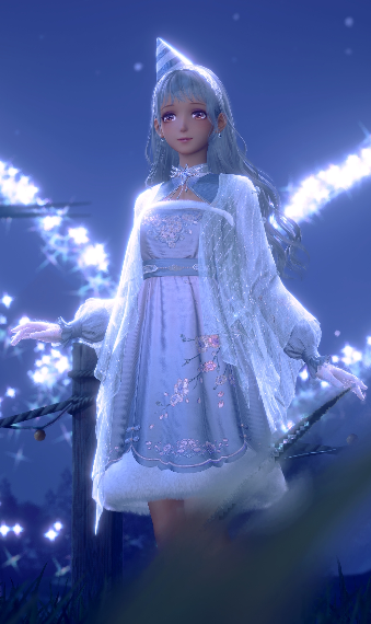 winter festival image