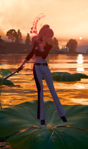 Fighter Nikki image