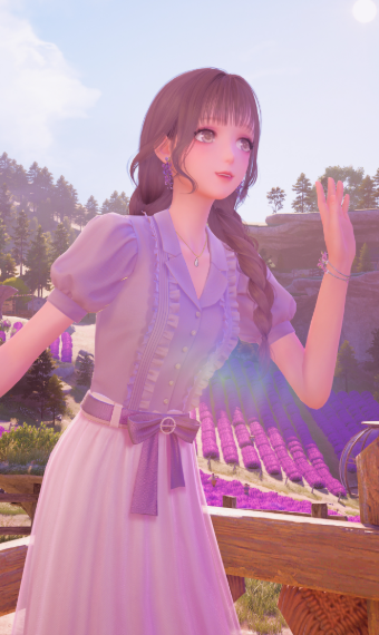 Lavender Fields image
