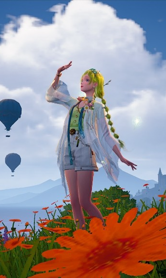 sunflower field image