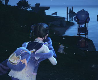 First image
