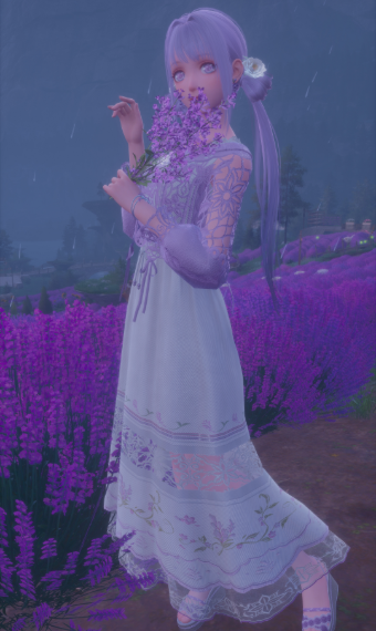 Lavender Beds image