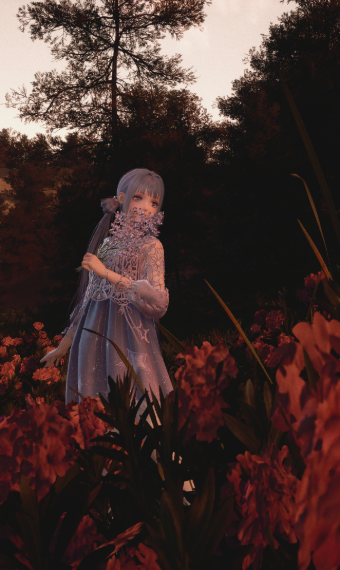 Lavender Evening image