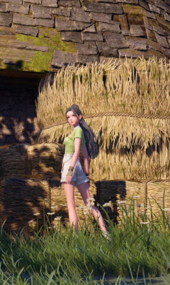 Meadow Wanderer image