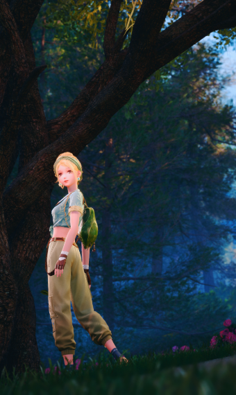 Adventure image
