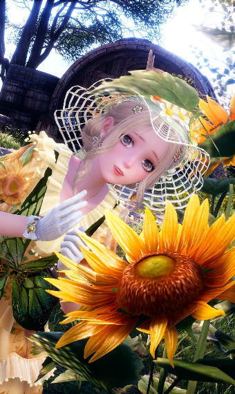 Sunflowers image