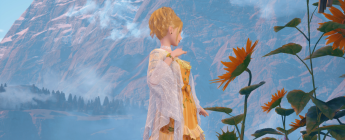 Third image