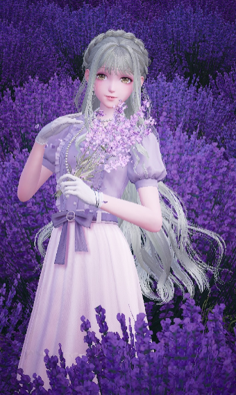 Lavender dream image