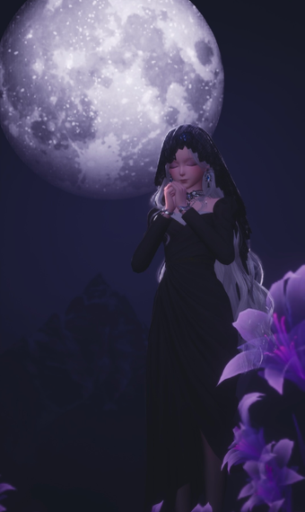 The Widow image