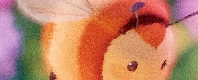 Third image