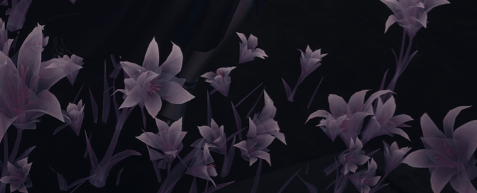 Third image