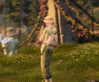 Second image