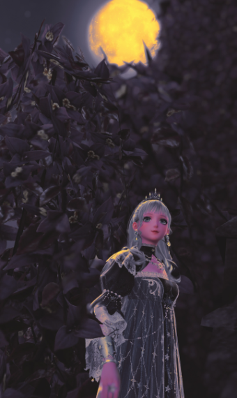 Princess image