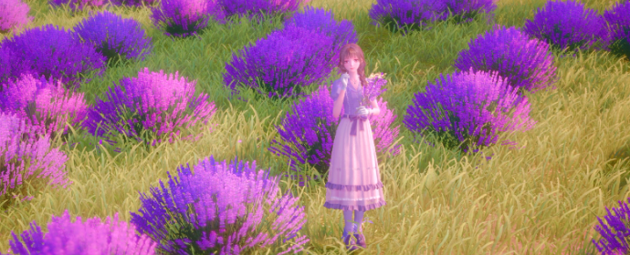 Third image