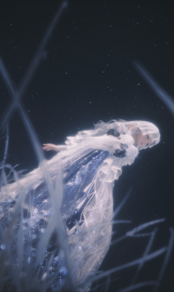 Spirit of the Moon image