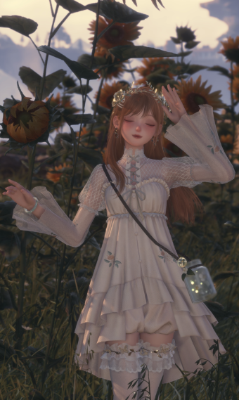 sunflower solstice image