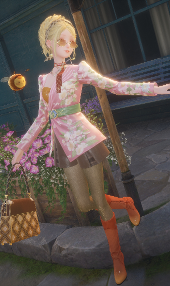 The Fashionista image