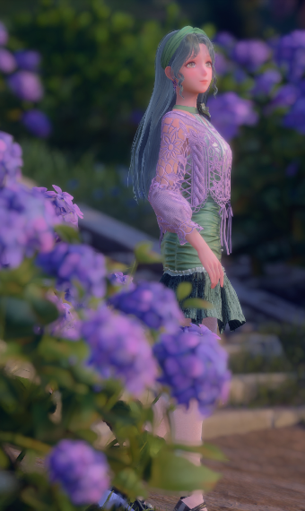 Lavender Fields image