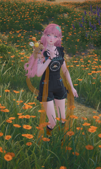 Sunset Elf image