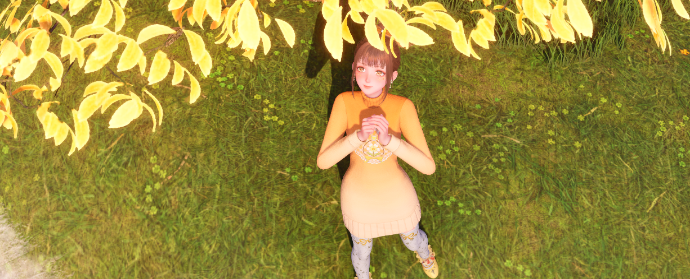 Third image