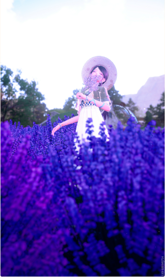 ELEGANCE! image