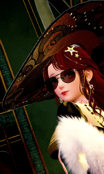 009 image
