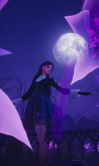 Enchanting Moonlight Melodies image