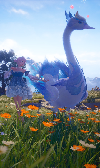 Soaring High image