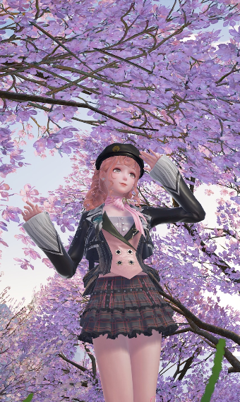 Pink blossoms image