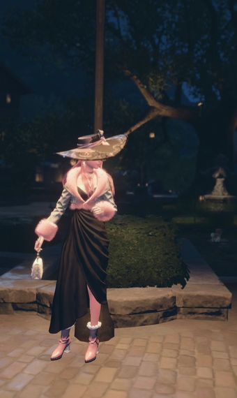 Mysterious lady image